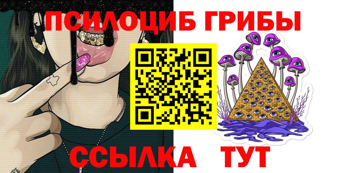Гурьевск  Галлюциногенные грибы Psilocybine cubensis  Вход с VPN 