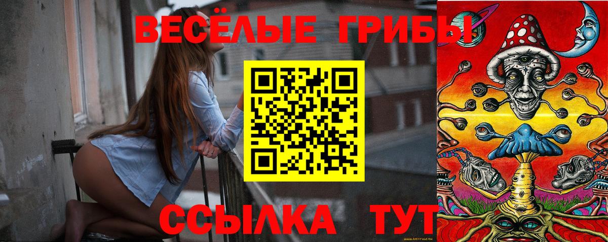 NBOMe  МЕТАМФЕТАМИН  МЕФ кристаллы  Вход с VPN  Гашиш  Гурьевск  Cocaine  Марихуана  ГАШИШ 